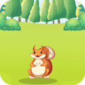 Hungry-Squirrel img